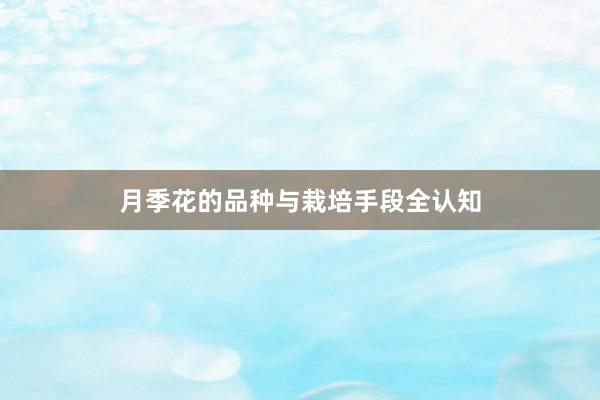 月季花的品种与栽培手段全认知